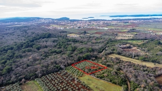 Grundstück - Verkauf - ISTARSKA - VODNJAN - GALIŽANA