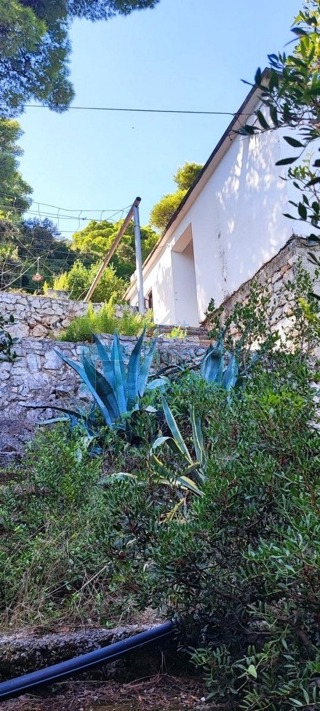 Kuća - Prodaja - DUBROVAČKO-NERETVANSKA - DUBROVNIK - DUBROVNIK