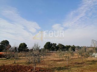 Land - Sale - ISTARSKA - PULA - PULA