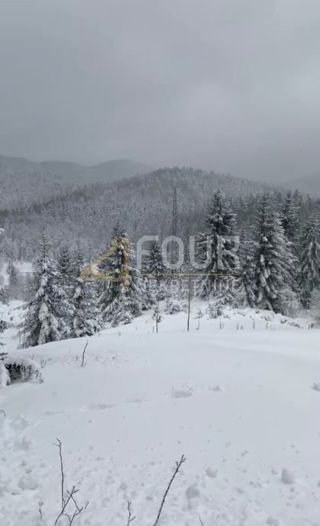 Land - Sale - PRIMORSKO-GORANSKA - RAVNA GORA - STARI LAZ