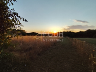 Land - Sale - ISTARSKA - MARČANA - KRNICA