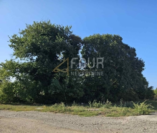 Land - Sale - ISTARSKA - FAŽANA - VALBANDON