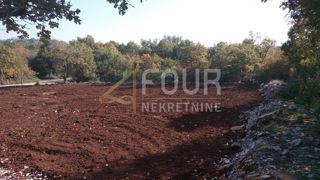 Land - Sale - ISTARSKA - ROVINJ - ROVINJ