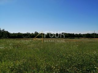Land - Sale - ISTARSKA - SVETI LOVREČ - SVETI LOVREČ PAZENATIČKI