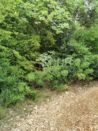 Land - Sale - ISTARSKA - LIŽNJAN - VALTURA