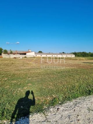 Land - Sale - ISTARSKA - ŽMINJ - ŽMINJ