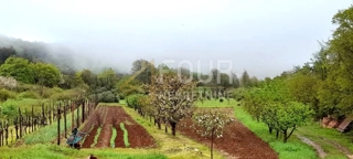 Kuća - Prodaja - ISTARSKA - LABIN - LABIN