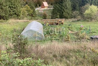 Land - Sale - PRIMORSKO-GORANSKA - DELNICE - CRNI LUG