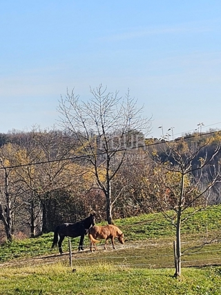 Grundstück - Verkauf - KARLOVAČKA - OZALJ - OZALJ