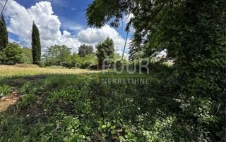 Land - Sale - ISTARSKA - VIŠNJAN - VIŠNJAN