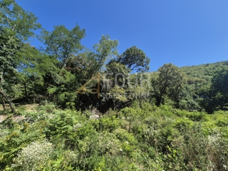 Land - Sale - PRIMORSKO-GORANSKA - RIJEKA - SVILNO