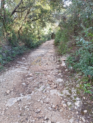 Land - Sale - ISTARSKA - MARČANA - KAVRAN