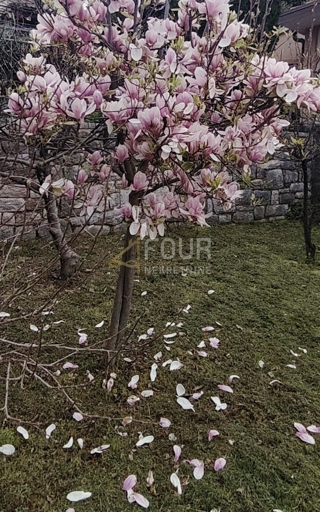 Kuća - Prodaja - PRIMORSKO-GORANSKA - RIJEKA - PEHLIN