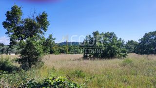 Land - Sale - ISTARSKA - BUJE - BUJE
