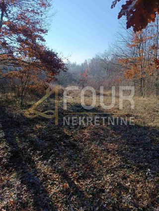 Land - Sale - ISTARSKA - POREČ - POREČ