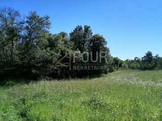Land - Sale - ISTARSKA - SVETI LOVREČ - SVETI LOVREČ PAZENATIČKI