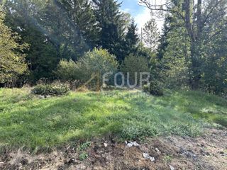 Land - Sale - PRIMORSKO-GORANSKA - DELNICE - DELNICE