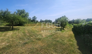 Land - Sale - ISTARSKA - BARBAN - BARBAN