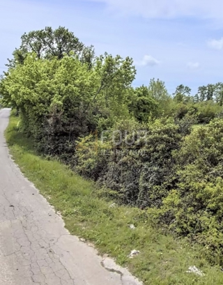 Grundstück - Verkauf - ISTARSKA - SVETVINČENAT - JURŠIĆI