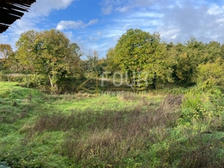 Land - Sale - ISTARSKA - KAROJBA - KAROJBA