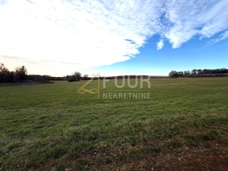 Land - Sale - ISTARSKA - KAŠTELIR - LABINCI - KAŠTELIR