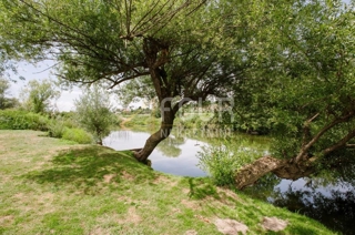 House - Sale - KARLOVAČKA - BARILOVIĆI - BARILOVIĆ