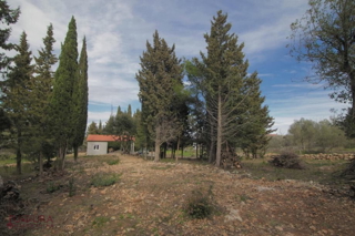 Land - Sale - ZADARSKA - PAŠMAN - ŽDRELAC