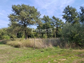 Zemljište - Prodaja - ISTARSKA - POREČ - POREČ