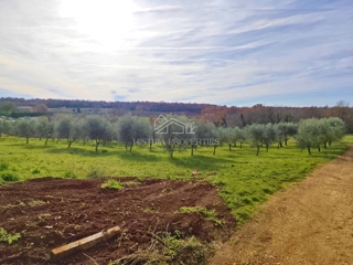 Zemljište - Prodaja - ISTARSKA - POREČ - POREČ