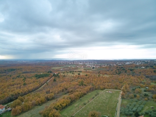 Land - Sale - ISTARSKA - POREČ - POREČ