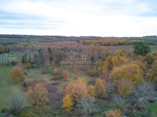 Land - Sale - ISTARSKA - POREČ - POREČ