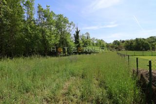 Land - Sale - ISTARSKA - LIŽNJAN - ŠIŠAN