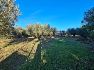Land - Sale - ISTARSKA - MEDULIN - MEDULIN