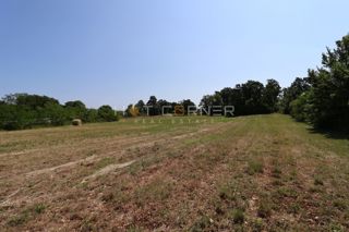 Land - Sale - ISTARSKA - MARČANA - KRNICA