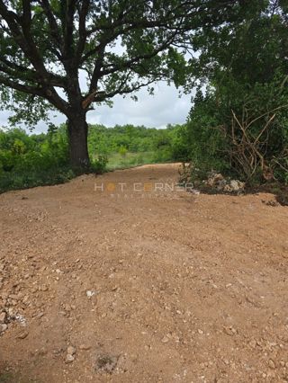 Land - Sale - ISTARSKA - MARČANA - FILIPANA