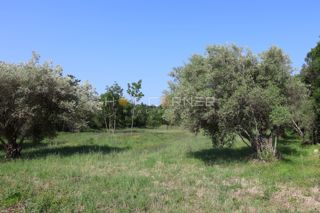 Land - Sale - ISTARSKA - MARČANA - MARČANA