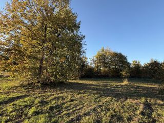 Land - Sale - ISTARSKA - BARBAN - BARBAN