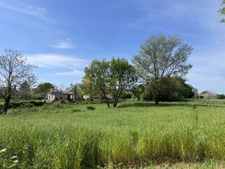 Land - Sale - ISTARSKA - BARBAN - BARBAN