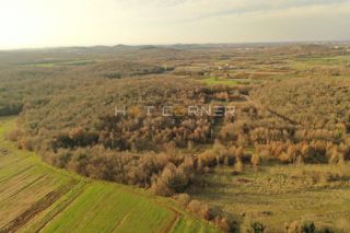 Grundstück - Verkauf - ISTARSKA - VRSAR - VRSAR