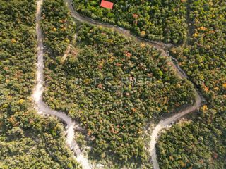 Land - Sale - ISTARSKA - ROVINJ - ROVINJ