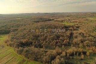 Land - Sale - ISTARSKA - VRSAR - VRSAR
