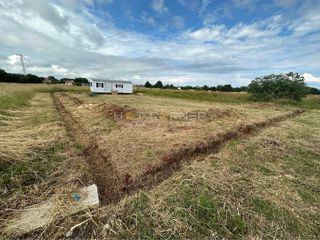 Land - Sale - ISTARSKA - LIŽNJAN - ŠIŠAN