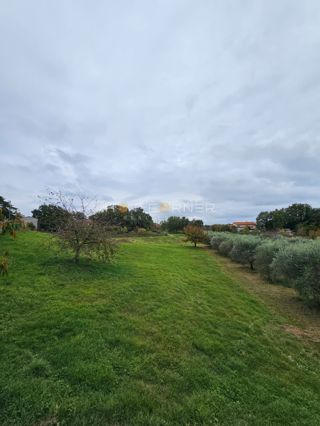 Grundstück - Verkauf - ISTARSKA - ROVINJ - ROVINJ