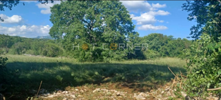 Land - Sale - ISTARSKA - LABIN - LABIN