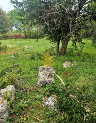 Zemljište - Prodaja - ZADARSKA - SUKOŠAN - DEBELJAK