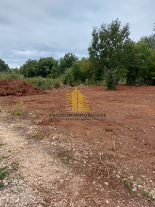 Land - Sale - ISTARSKA - LIŽNJAN - VALTURA