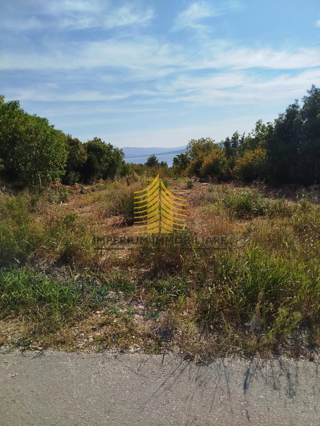 Land - Sale - ZADARSKA - JASENICE - JASENICE