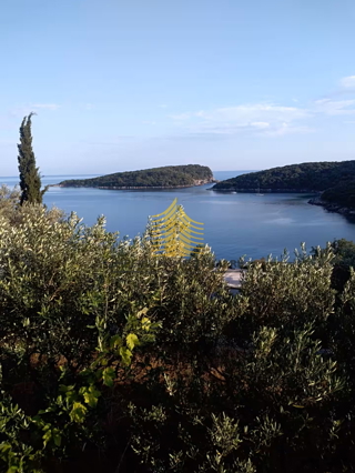 Haus - Verkauf - DUBROVAČKO-NERETVANSKA - KONAVLE - ĐURINIĆI