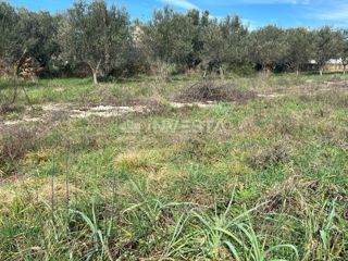 Land - Sale - ISTARSKA - LIŽNJAN - VALTURA