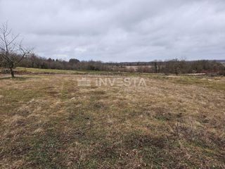 Land - Sale - ISTARSKA - ŽMINJ - ŽMINJ